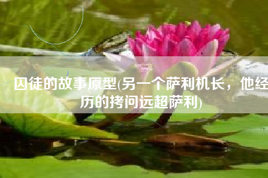 囚徒的故事原型(另一个萨利机长，他经历的拷问远超萨利)