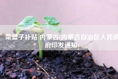 菜篮子补贴 内蒙古(内蒙古自治区人民政府印发通知)