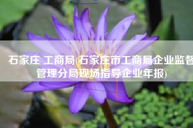 石家庄 工商局(石家庄市工商局企业监督管理分局现场指导企业年报)