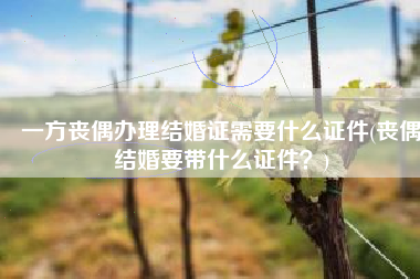 一方丧偶办理结婚证需要什么证件(丧偶结婚要带什么证件？)