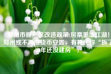 郑州市棚户区改造政策(房票重出江湖！郑州或不再推货币安置，有村民称“拆了9年还没建房”)