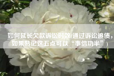 如何延长欠款诉讼时效(通过诉讼追债，如果熟记这五点可以“事倍功半”)