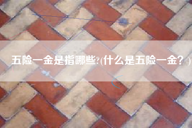 五险一金是指哪些?(什么是五险一金？)