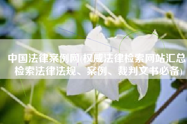 中国法律案例网(权威法律检索网站汇总，检索法律法规、案例、裁判文书必备)