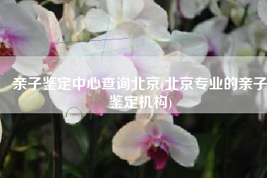 亲子鉴定中心查询北京(北京专业的亲子鉴定机构)