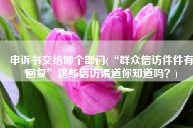 申诉书交给哪个部门(“群众信访件件有回复”这些信访渠道你知道吗？)
