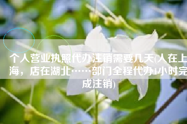 个人营业执照代办注销需要几天(人在上海，店在湖北……部门全程代办1小时完成注销)