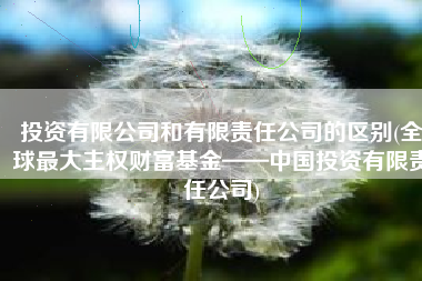 投资有限公司和有限责任公司的区别(全球最大主权财富基金——中国投资有限责任公司)
