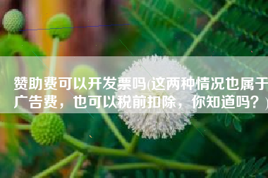 赞助费可以开发票吗(这两种情况也属于广告费，也可以税前扣除，你知道吗？)