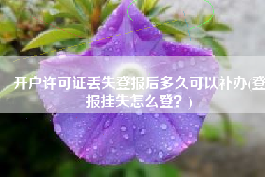 开户许可证丢失登报后多久可以补办(登报挂失怎么登？)