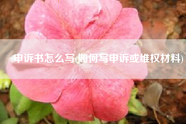 申诉书怎么写(如何写申诉或维权材料)