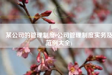 某公司的管理制度(公司管理制度实务及范例大全)