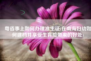粤省事上如何办理准生证(在南海妇幼如何建档并享受生育险带来的好处)