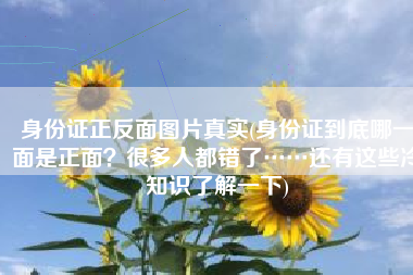 身份证正反面图片真实(身份证到底哪一面是正面？很多人都错了……还有这些冷知识了解一下)