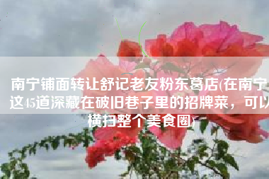 南宁铺面转让舒记老友粉东葛店(在南宁，这45道深藏在破旧巷子里的招牌菜，可以横扫整个美食圈)