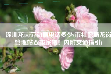 深圳龙岗劳动局电话多少(市社保局龙岗管理站要搬家啦！内附交通指引)