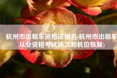 杭州市出租车资格证报名(杭州市出租车从业资格考试场次和机位恢复)