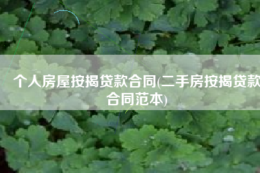 个人房屋按揭贷款合同(二手房按揭贷款合同范本)