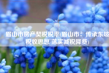 眉山市房产契税税率(眉山市：传承东坡税收思想 落实减税降费)