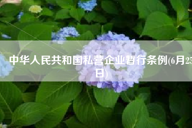 中华人民共和国私营企业暂行条例(6月25日)