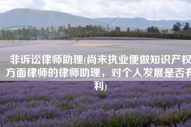 非诉讼律师助理(尚未执业便做知识产权方面律师的律师助理，对个人发展是否有利)