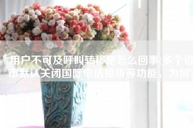 用户不可及呼叫转移是怎么回事(多个省市默认关闭国际电话接听等功能，为何？)