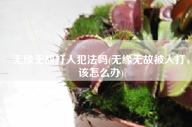 无缘无故打人犯法吗(无缘无故被人打，该怎么办)
