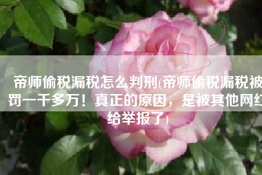 帝师偷税漏税怎么判刑(帝师偷税漏税被罚一千多万！真正的原因，是被其他网红给举报了)
