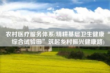 农村医疗服务体系(精耕基层卫生健康“综合试验田”筑起乡村振兴健康路)
