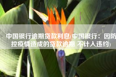 中国银行逾期贷款利息(中国银行：因防控疫情造成的贷款逾期 不计入违约)