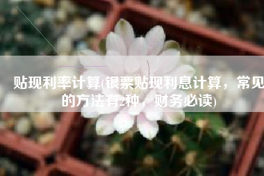 贴现利率计算(银票贴现利息计算，常见的方法有2种，财务必读)