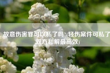 故意伤害罪可以私了吗?(轻伤案件可私了 双方和解最高效)