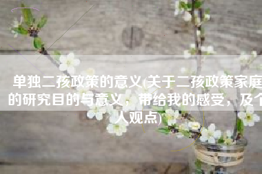 单独二孩政策的意义(关于二孩政策家庭的研究目的与意义，带给我的感受，及个人观点)