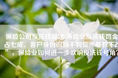 保险公司反洗钱规定(寿险业反洗钱罚金占七成、客户身份识别不到位“屡教不改”，保险业如何进一步吹响反洗钱号角？)