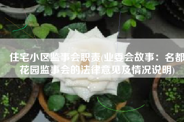 住宅小区监事会职责(业委会故事：名都花园监事会的法律意见及情况说明)