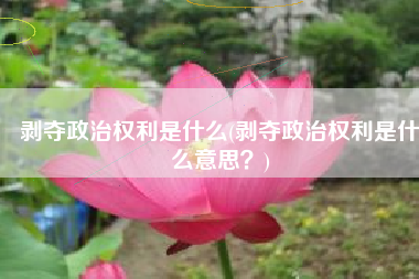 剥夺政治权利是什么(剥夺政治权利是什么意思？)