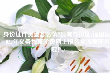 身份证件类型怎么填?没有身份证(福田区2022年义务教育阶段网上报名全流程图来啦！)