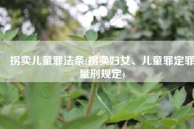 拐卖儿童罪法条(拐卖妇女、儿童罪定罪量刑规定)
