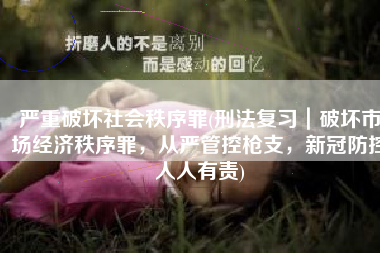 严重破坏社会秩序罪(刑法复习｜破坏市场经济秩序罪，从严管控枪支，新冠防控人人有责)
