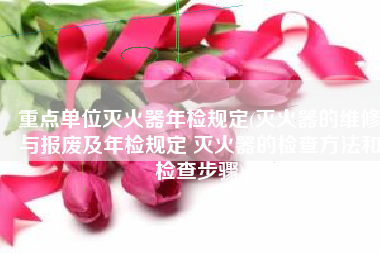 重点单位灭火器年检规定(灭火器的维修与报废及年检规定 灭火器的检查方法和检查步骤)