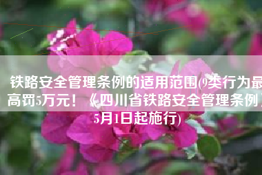 铁路安全管理条例的适用范围(9类行为最高罚5万元！《四川省铁路安全管理条例》5月1日起施行)