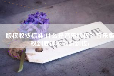 版权收费标准(什么是音乐版权？音乐版权到底能不能赚到钱)