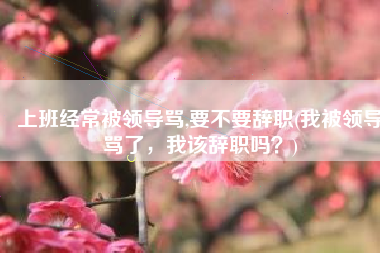 上班经常被领导骂,要不要辞职(我被领导骂了，我该辞职吗？)