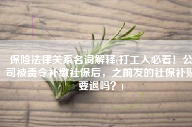 保险法律关系名词解释(打工人必看！公司被责令补缴社保后，之前发的社保补贴要退吗？)