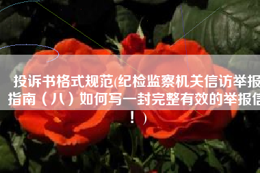 投诉书格式规范(纪检监察机关信访举报指南（八）如何写一封完整有效的举报信！)
