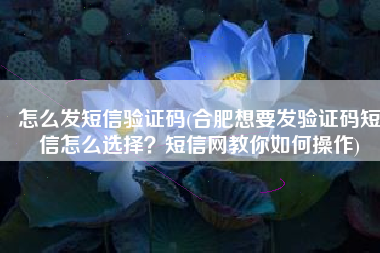 怎么发短信验证码(合肥想要发验证码短信怎么选择？短信网教你如何操作)