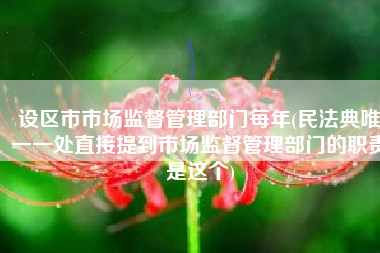 设区市市场监督管理部门每年(民法典唯一一处直接提到市场监督管理部门的职责是这个)
