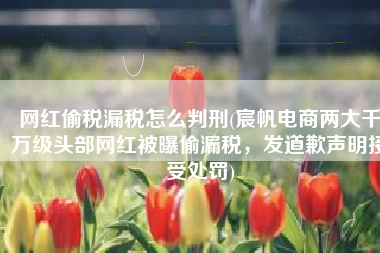 网红偷税漏税怎么判刑(宸帆电商两大千万级头部网红被曝偷漏税，发道歉声明接受处罚)