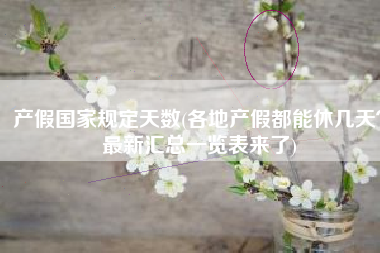 产假国家规定天数(各地产假都能休几天？最新汇总一览表来了)