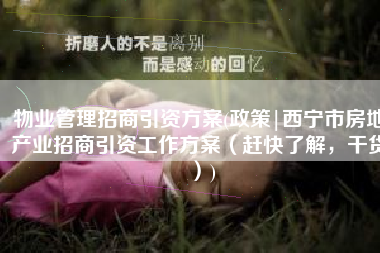 物业管理招商引资方案(政策|西宁市房地产业招商引资工作方案（赶快了解，干货）)